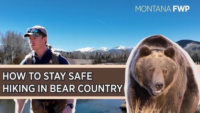 The Miller family canoeing on Swiftcurrent Lake, crystal clear water reflecting mountains, blue sky with clouds.