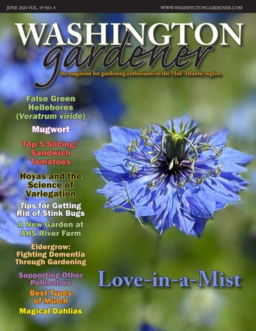 7 Easy Ways to Make Your Garden a Pollinator-Fr...