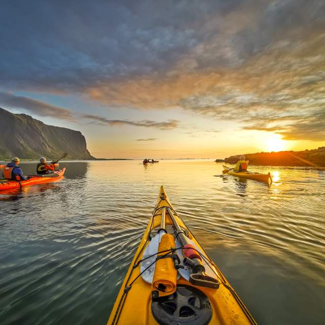 Close up shot of a puffin with a shallow depth of field