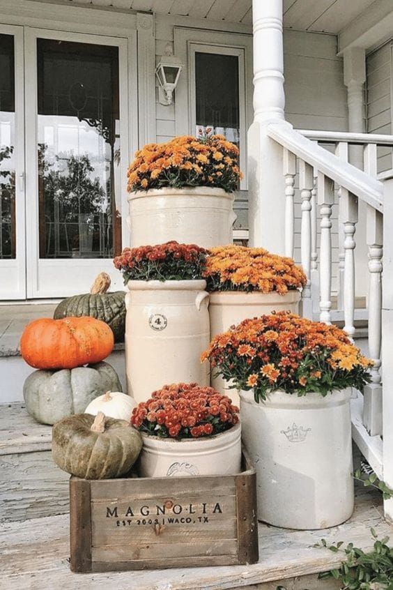 Another angle of entryway decor highlighting natural elements