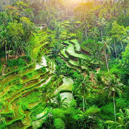 A vibrant scene of a Balinese food market.