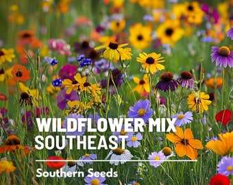 A homestead seed saving setup
