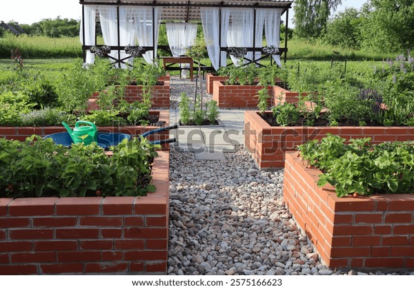 Modern Vegetable Garden
