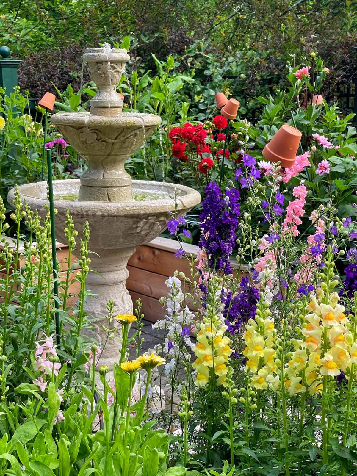 From Seeds to Centerpieces: Grow Your Own Cutti...