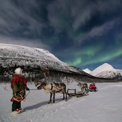Reindeer sledding under the Northern Lights
