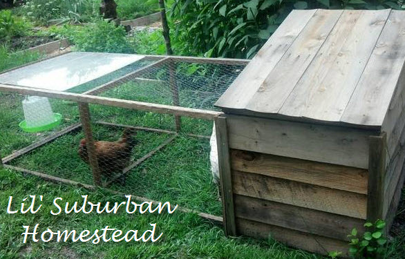 A side view of a chicken tractor.