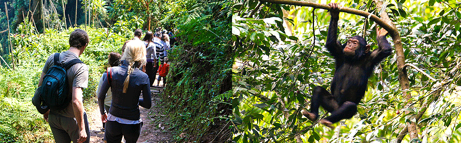 ## Rwanda: A Photographer's Heart Captured by the...