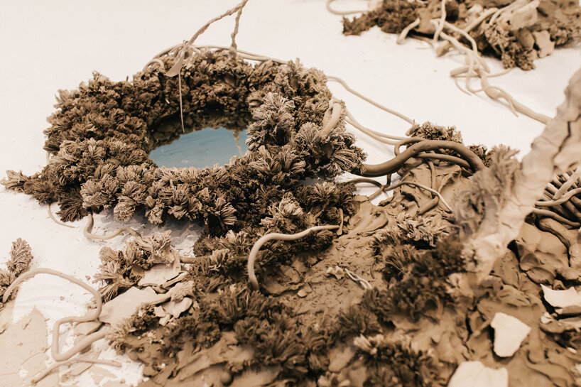 # Find Your Inner Peace: Three Relaxing Beaches an...