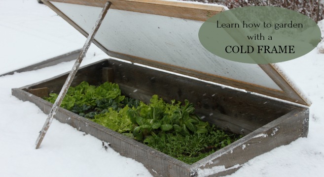 Extend Your Harvest: Build a DIY Cold Frame for...