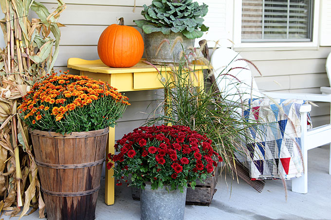 Cozy Up Your Curb Appeal: Creating an Enchantin...