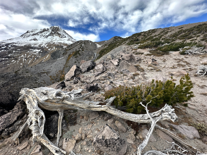 A person looking towards the horizon from Hurricane Ridge at sunrise, capturing the scale of the view, using natural lighting, and composed using the rule of thirds.