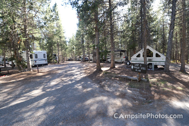 # Colter Bay RV Park Review: A Senior's Perspectiv...