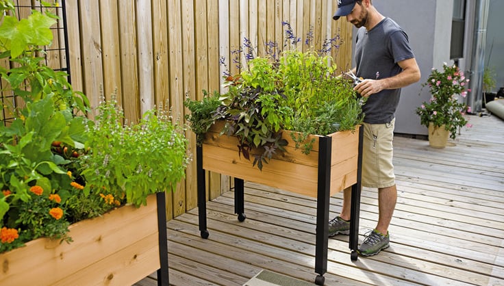 From Compost to Kitchen: Turning Your Backyard...