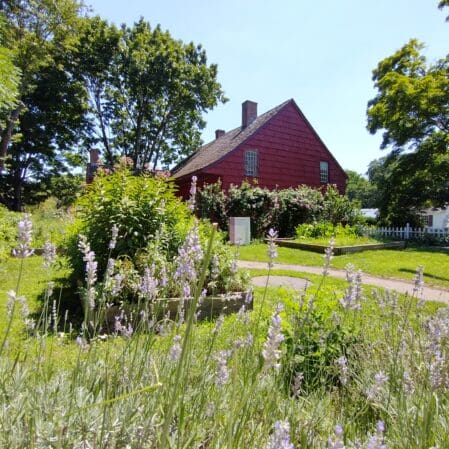 Herbal Haven: Grow a Pollinator Paradise & Heal...