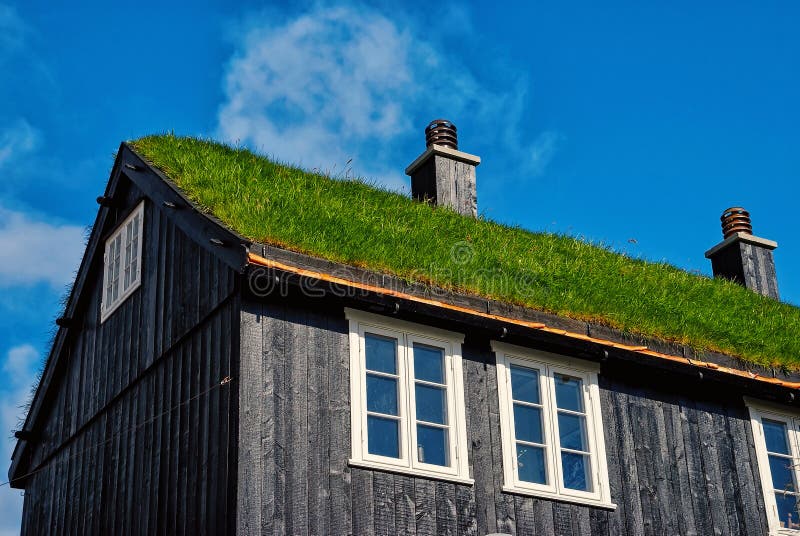 Monkfish dish with fermented barley and samphire.