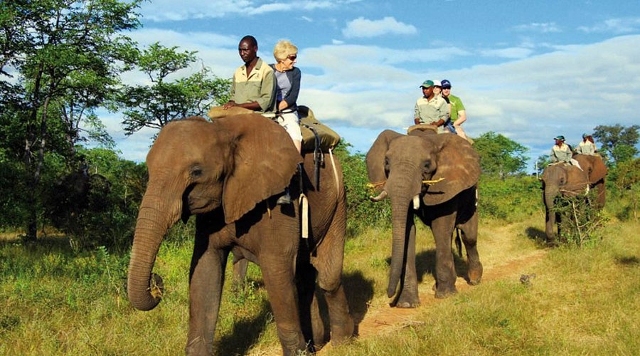 Bush breakfast setup in the African bush