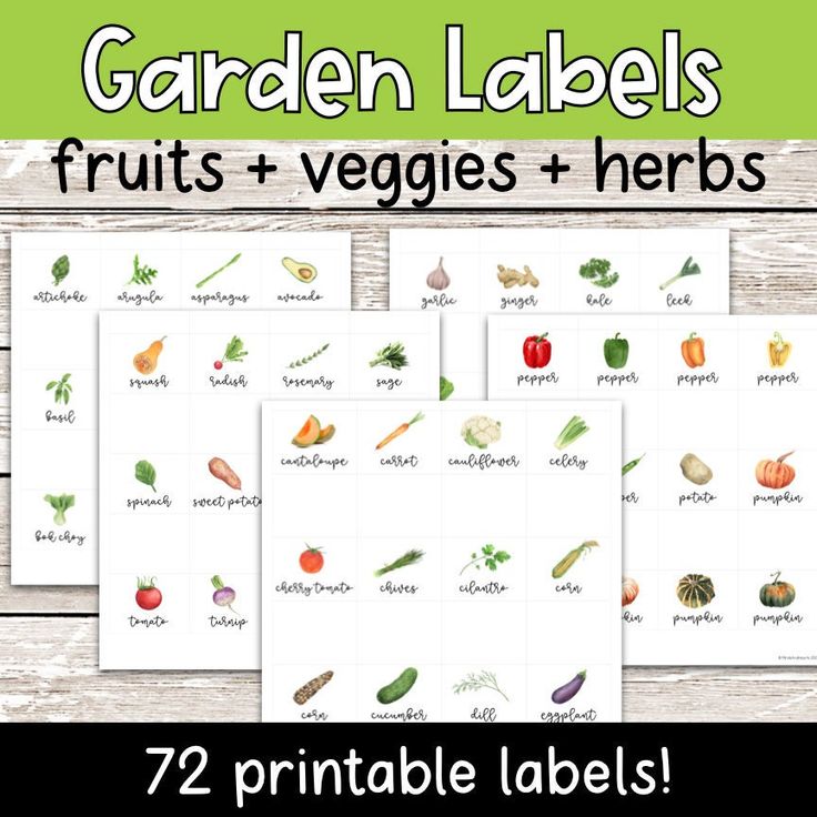 DIY pallet vertical garden herbs