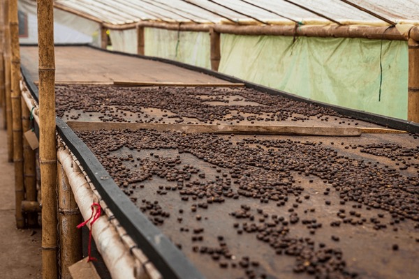 A player throwing a tejo towards the target