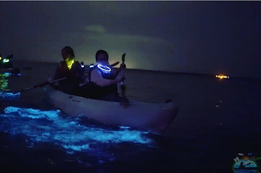 Bioluminescent bay in Puerto Rico with kayakers