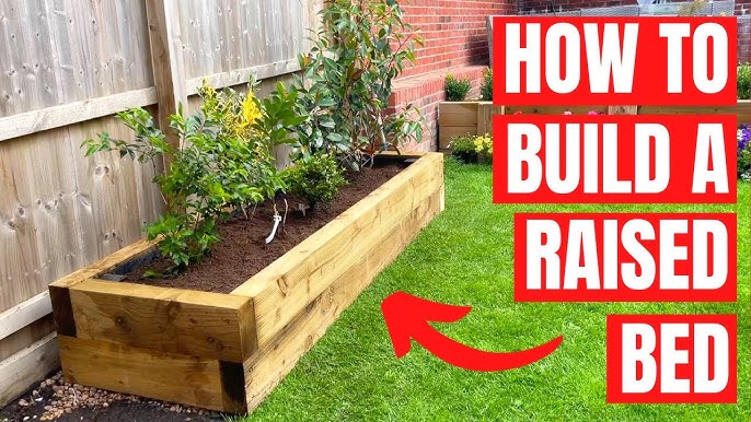 Planting seeds or seedlings in the raised garden bed