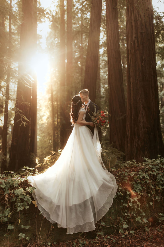## Celebrating a Decade of Love Under the Redwoods...