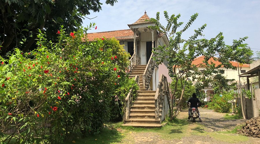 Discovering the Biodiversity of Langkawi with The Datai's Resident Naturalist