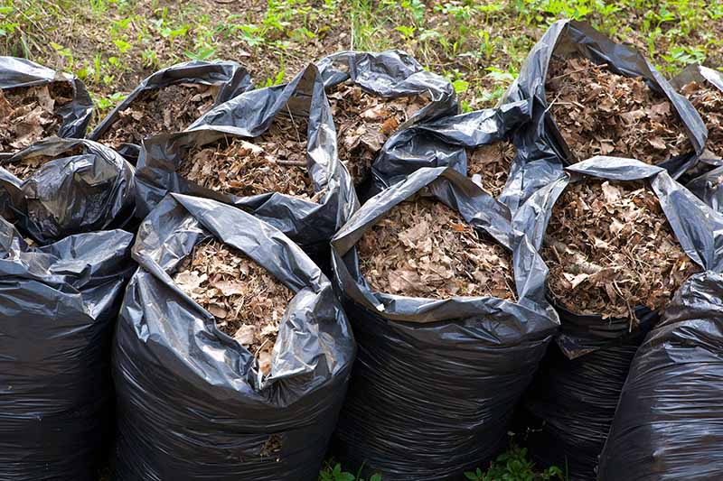 Bin-Liners-Filled-with-Fall-Leaves