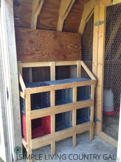 Cleaning a chicken coop nesting box