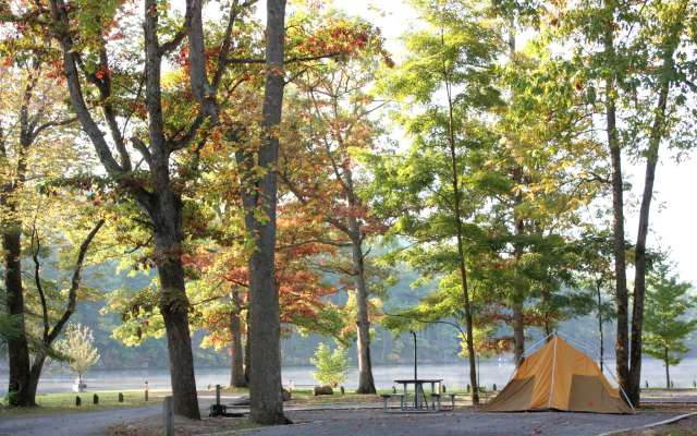 # From Civil Rights to Campfires: A Father-Daughte...