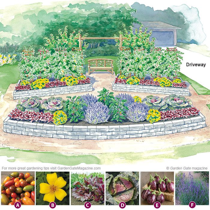 Detailed front yard edible garden layout blueprint