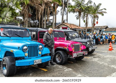 Wax palm trees in Cocora Valley
