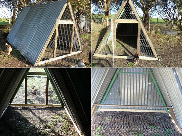 Framing for chicken coop made of wood