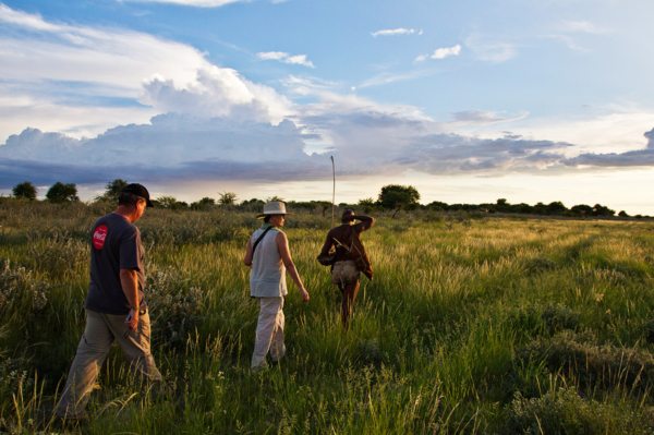 San guide leading a walking safari in the Kalahari