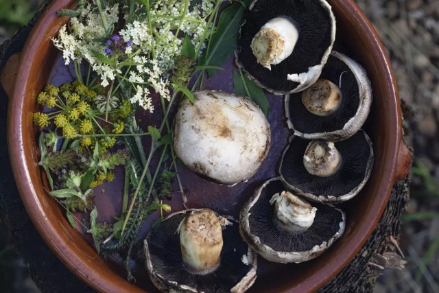 foraged mushrooms herbs wooden basket kitchen
