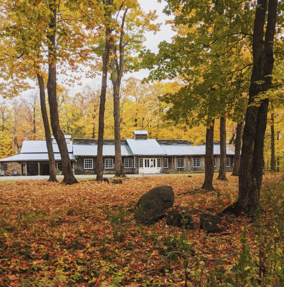 Poutine, a Quebecois Dish
