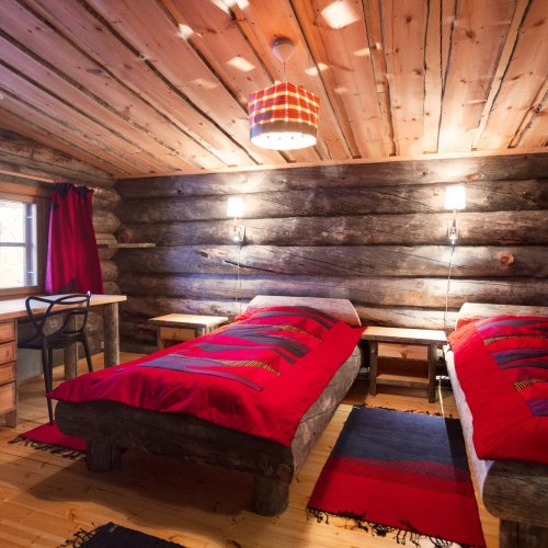 Aurora Borealis above a snowy forest, showcasing vibrant colors