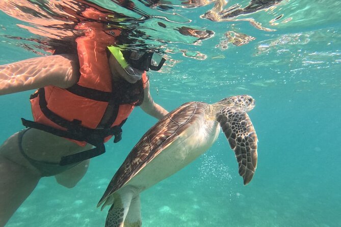 A family snorkeling with sea turtles in the clear waters of Akumal, Mexico