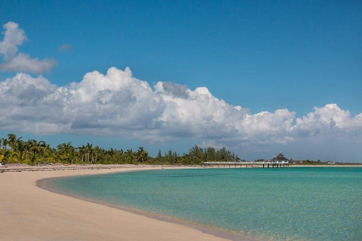 A close-up of hands delicately arranging shells on a sand dollar to create art