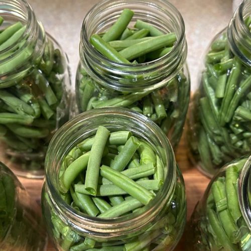 A bowl of pickled green beans being served with a hearty winter meal