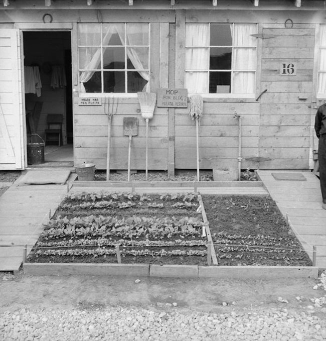 Victory Gardens