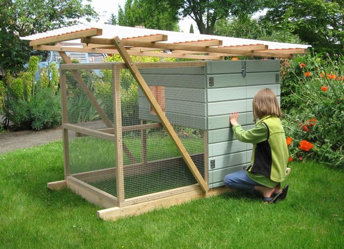 Transform Your Homestead: Build a DIY Chicken T...