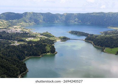 Close-up of a pineapple field in the Azores, showing the ripe fruit ready for harvest, which highlights the unique agricultural products of the islands.