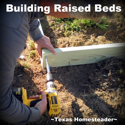Image of bolting boards together to build a raised bed