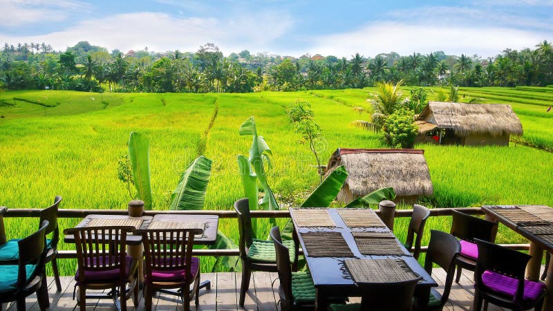 Natural Materials for Bali Hotel