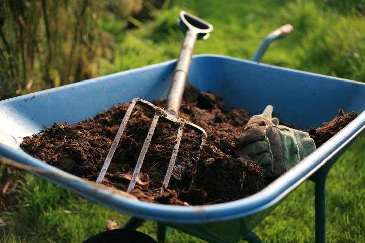 Backyard Composting Under Threat