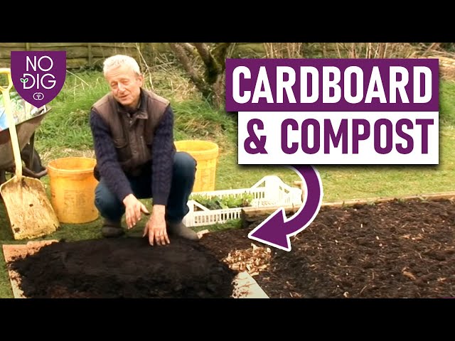 Hands cupping soil seedling sprouting