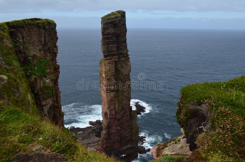 Professor Ainsworth looking flustered after a bird landed on her head