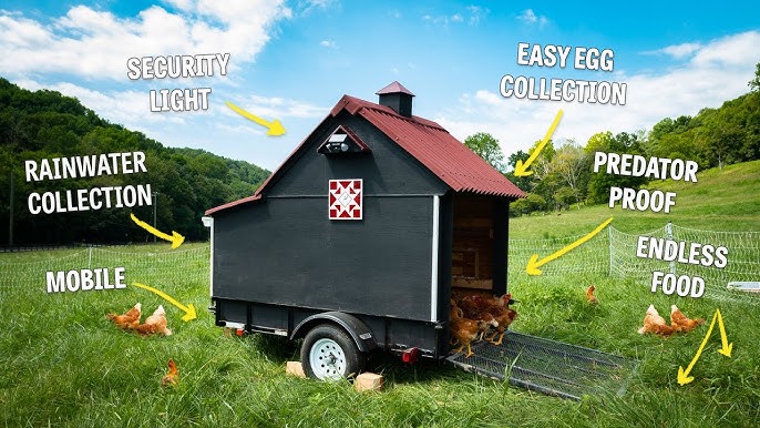 Empower Your Homestead: Craft a Step-by-Step Gui...