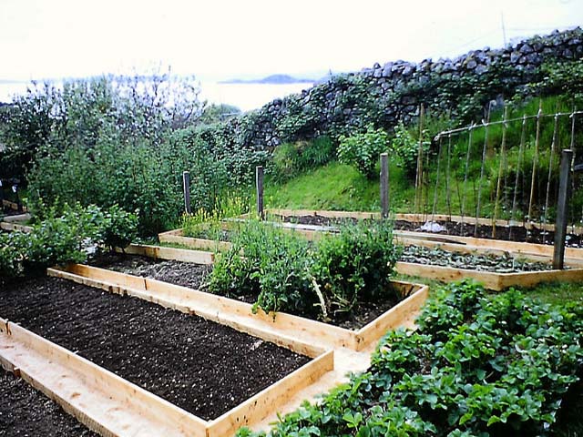 A woman building a raised garden bed frame with lumber