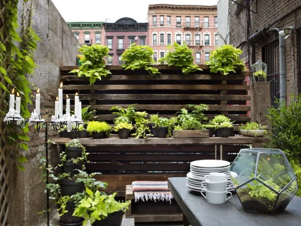 From Garden to Gathering: Designing a Naturally...